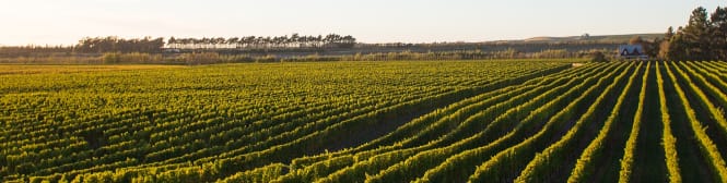 List Page Learn About Content Graphic