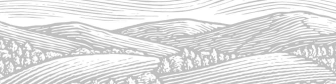 List Page Learn About Content Graphic