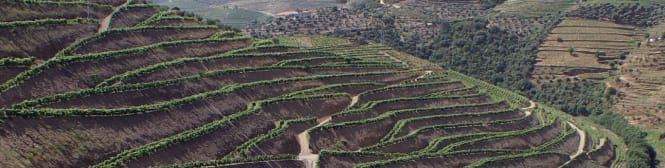 List Page Learn About Content Graphic