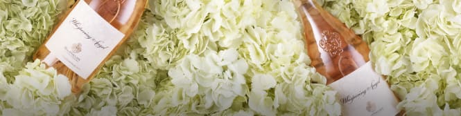 List Page Learn About Content Graphic