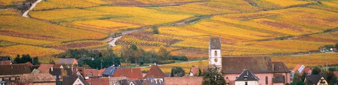 List Page Learn About Content Graphic