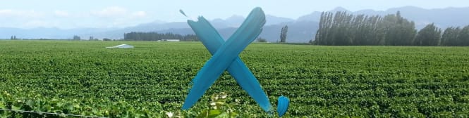 List Page Learn About Content Graphic