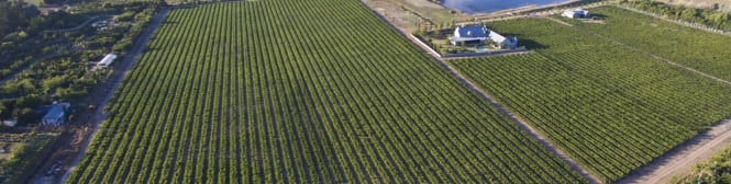 List Page Learn About Content Graphic