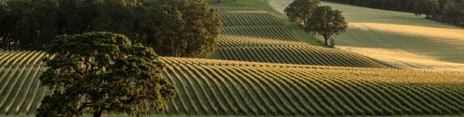 List Page Learn About Content Graphic