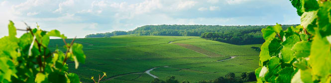 List Page Learn About Content Graphic