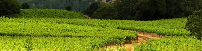 List Page Learn About Content Graphic