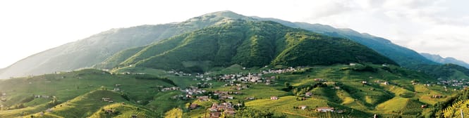 List Page Learn About Content Graphic