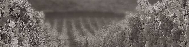 List Page Learn About Content Graphic