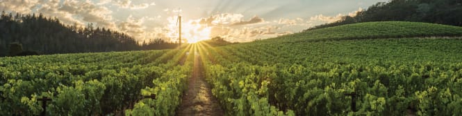 List Page Learn About Content Graphic