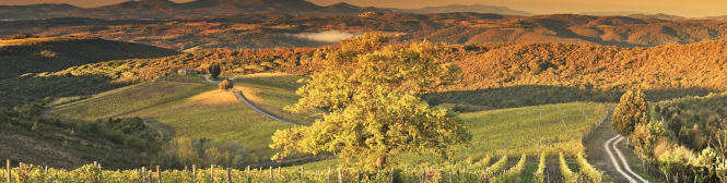 List Page Learn About Content Graphic