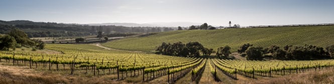 List Page Learn About Content Graphic