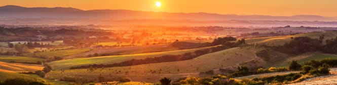 List Page Learn About Content Graphic