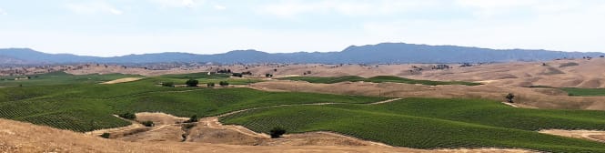 List Page Learn About Content Graphic