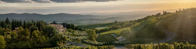 List Page Learn About Content Graphic