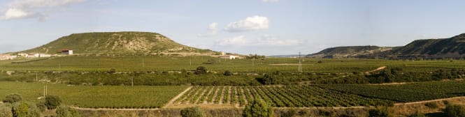 List Page Learn About Content Graphic