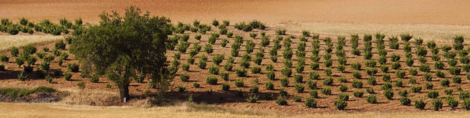 List Page Learn About Content Graphic