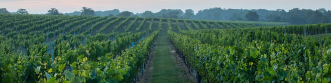 List Page Learn About Content Graphic