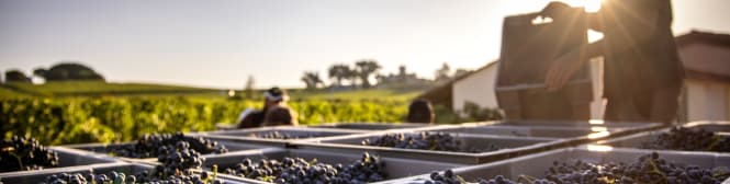 List Page Learn About Content Graphic