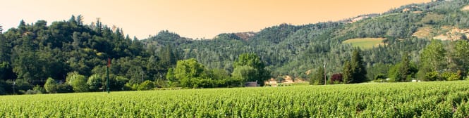 List Page Learn About Content Graphic