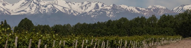 List Page Learn About Content Graphic