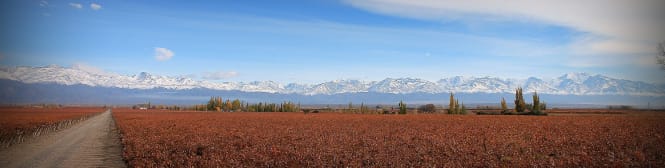 List Page Learn About Content Graphic