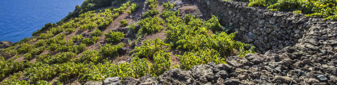 List Page Learn About Content Graphic