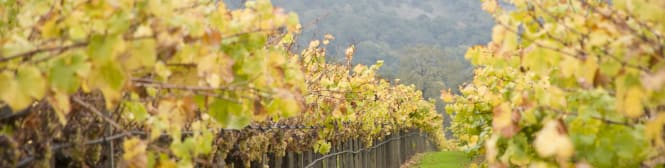 List Page Learn About Content Graphic