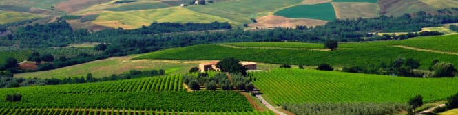 List Page Learn About Content Graphic