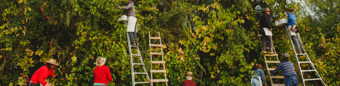 List Page Learn About Content Graphic