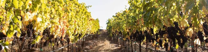 List Page Learn About Content Graphic