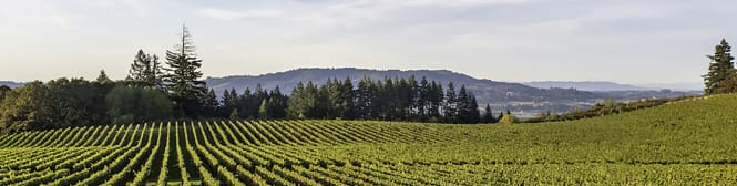 List Page Learn About Content Graphic