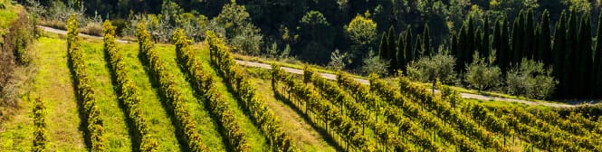 List Page Learn About Content Graphic