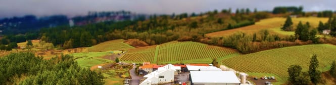 List Page Learn About Content Graphic