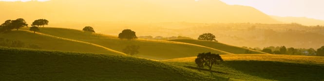 List Page Learn About Content Graphic