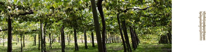 List Page Learn About Content Graphic