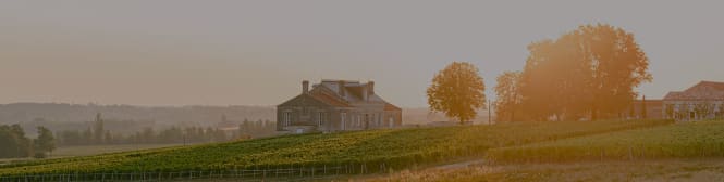 List Page Learn About Content Graphic