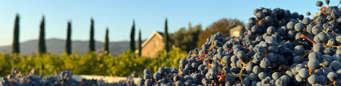 List Page Learn About Content Graphic