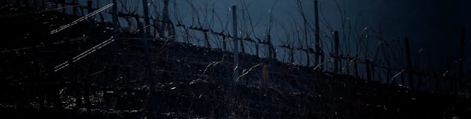 List Page Learn About Content Graphic