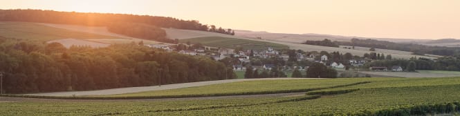 List Page Learn About Content Graphic