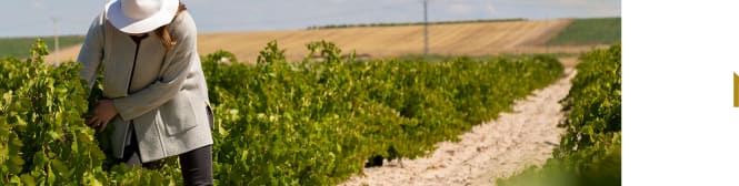 List Page Learn About Content Graphic