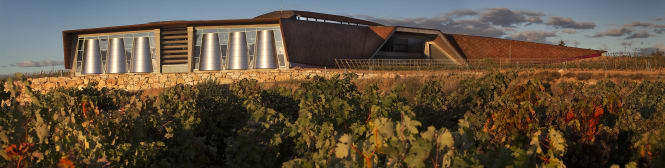 List Page Learn About Content Graphic