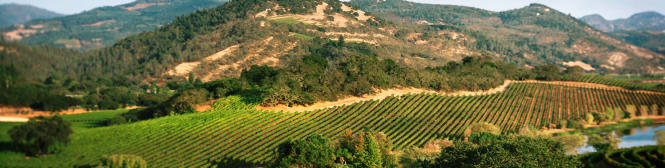 List Page Learn About Content Graphic