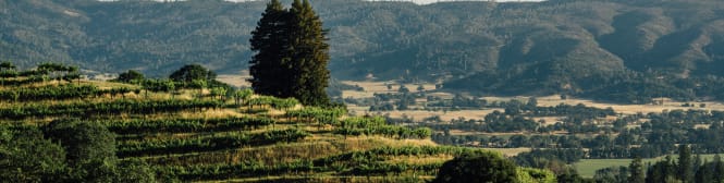 List Page Learn About Content Graphic