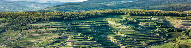 List Page Learn About Content Graphic