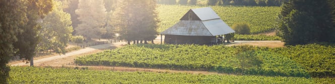 List Page Learn About Content Graphic