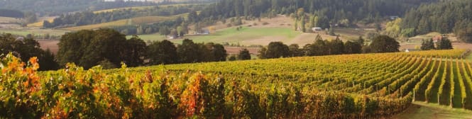 List Page Learn About Content Graphic