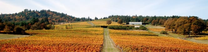 List Page Learn About Content Graphic