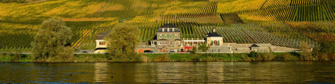 List Page Learn About Content Graphic