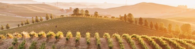 List Page Learn About Content Graphic