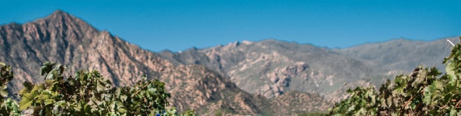 List Page Learn About Content Graphic